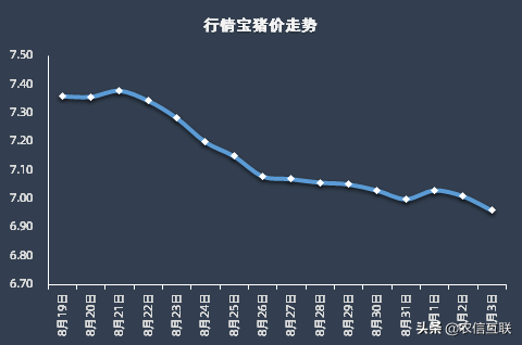 猪价再创7月来新低！仔猪一头200元，养殖户要不要趁机补栏？