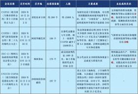 企业如何在国际气候会议分歧中接力可持续发展？